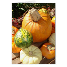 Thanksgiving Card