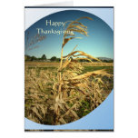 Thanksgiving cartes