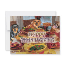 Thanksgiving Dachshunds