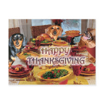 Thanksgiving Dachshunds