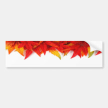Thanksgiving Day Bumper Sticker