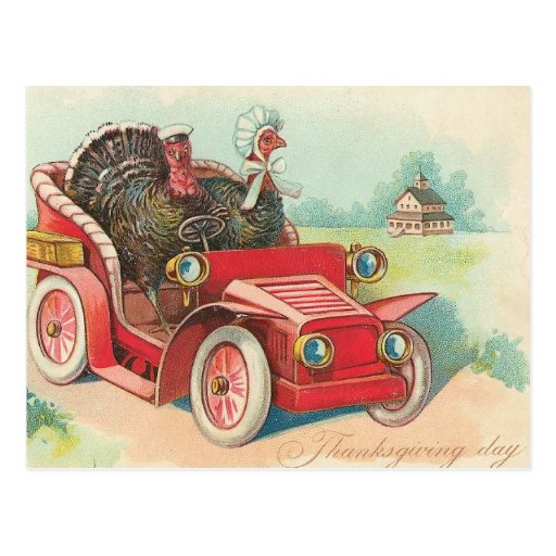 Thanksgiving Day Driving Turkeys Postcard