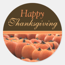 Thanksgiving Day Pumpkin Envelope Stickers