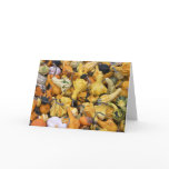Thanksgiving Gourds