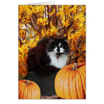 Thanksgiving Greeting Card