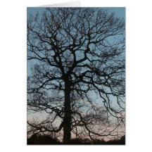 Thanksgiving Greetings Card