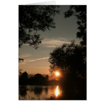Thanksgiving Greetings Greeting Cards