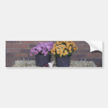 Thanksgiving Harvest Fall Scene Bumper Stickers