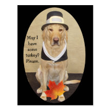 Thanksgiving Invitation Post Card