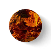 Thanksgiving Leaves Pinback Buttons