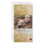 thanksgiving Photcard photo cards