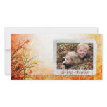 thanksgiving Photcard photo cards