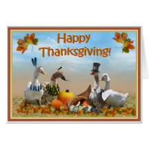 Thanksgiving Pilgrim and Indian Ducks Cards