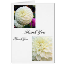 Thankyou Card