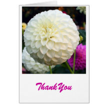 ThankYou Greeting Card