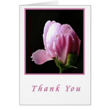 Thankyou Greeting Cards