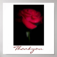 Thankyou red rose posters