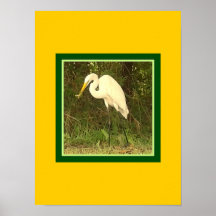 That is an actual lizard in the bird's beak. print
