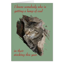 Thats Not Coal Laughing Cat Christmas card