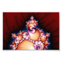 Thats The Point - Fractal Art Photo