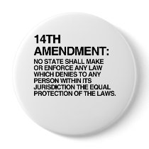 THE 14TH AMENDMENT BUTTONS