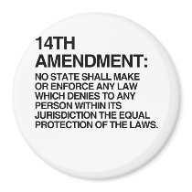 THE 14TH AMENDMENT FRIDGE MAGNET