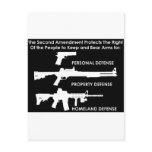 The 2nd Amendment Protects... Postcard