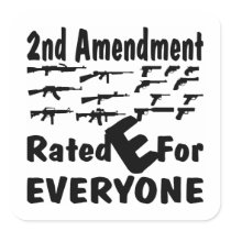 The 2nd Amendment Rated E For Everyone Square Stickers
