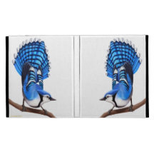 The Alert Blue Jay Bird iPad Case