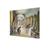 The Ambraser Collection of the Lower Stretched Canvas Print