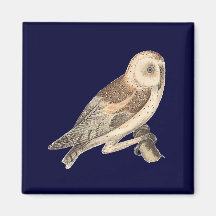 The American Barn Owl	(Strix pratincola)1 Magnets