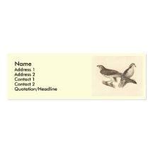 The American Goshawk	(Astur atricapillus) Business Card