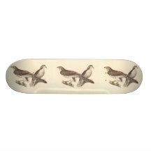 The American Goshawk (Astur atricapillus) Skateboard Decks