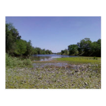 The American River in Sacramento,CA Postcard