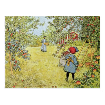 The Apple Harvest postcards