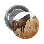 The Appy Buttons