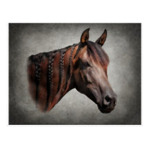The Arabian Post Card