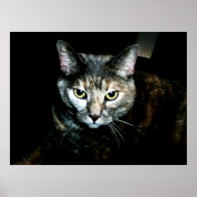 The Art Of Cat Poster
