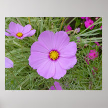The Art of Nature Print