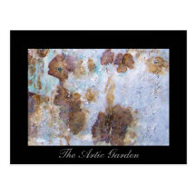 The Artic Garden Postcards