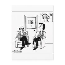 The Auditor Is In