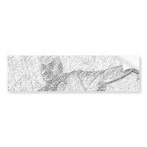 The Background Kid CD Cover Bumper Sticker