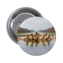 The Backyard Pinback Button
