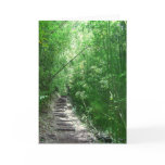 The Bamboo Forest Greeting Card