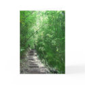 The Bamboo Forest cards