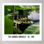 The Bamboo Umbrella