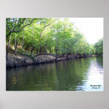 The Banks of Big Cypress Bayou Print