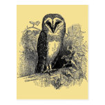 The Barn Owl Post Card
