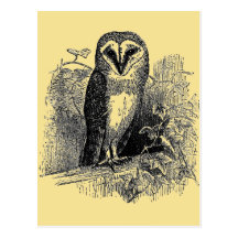 The Barn Owl Post Card