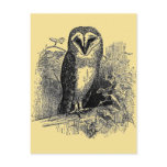 The Barn Owl postcards